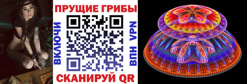 Галлюциногенные грибы Cubensis  Купить где  Пучеж 